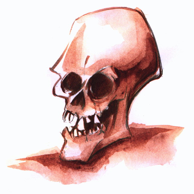 Skull.jpg